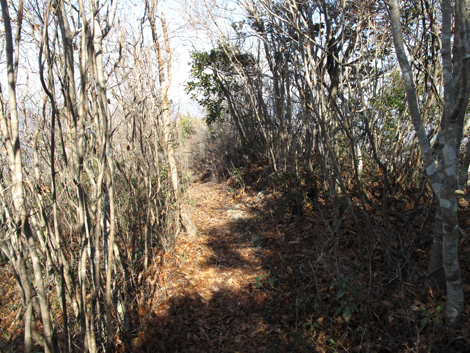 20140103hike (102)